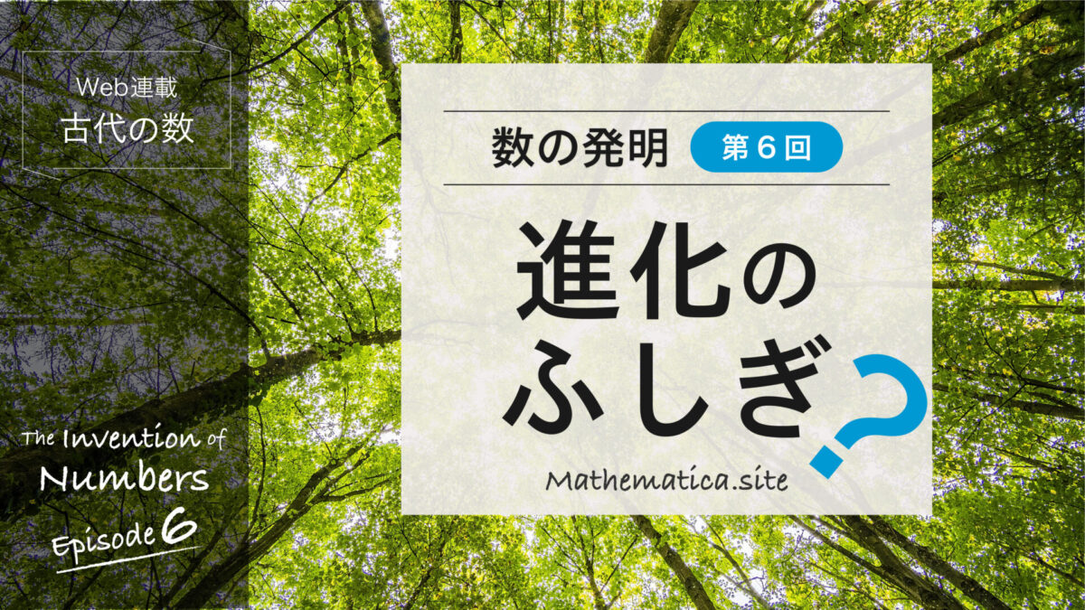 進化のふしぎ