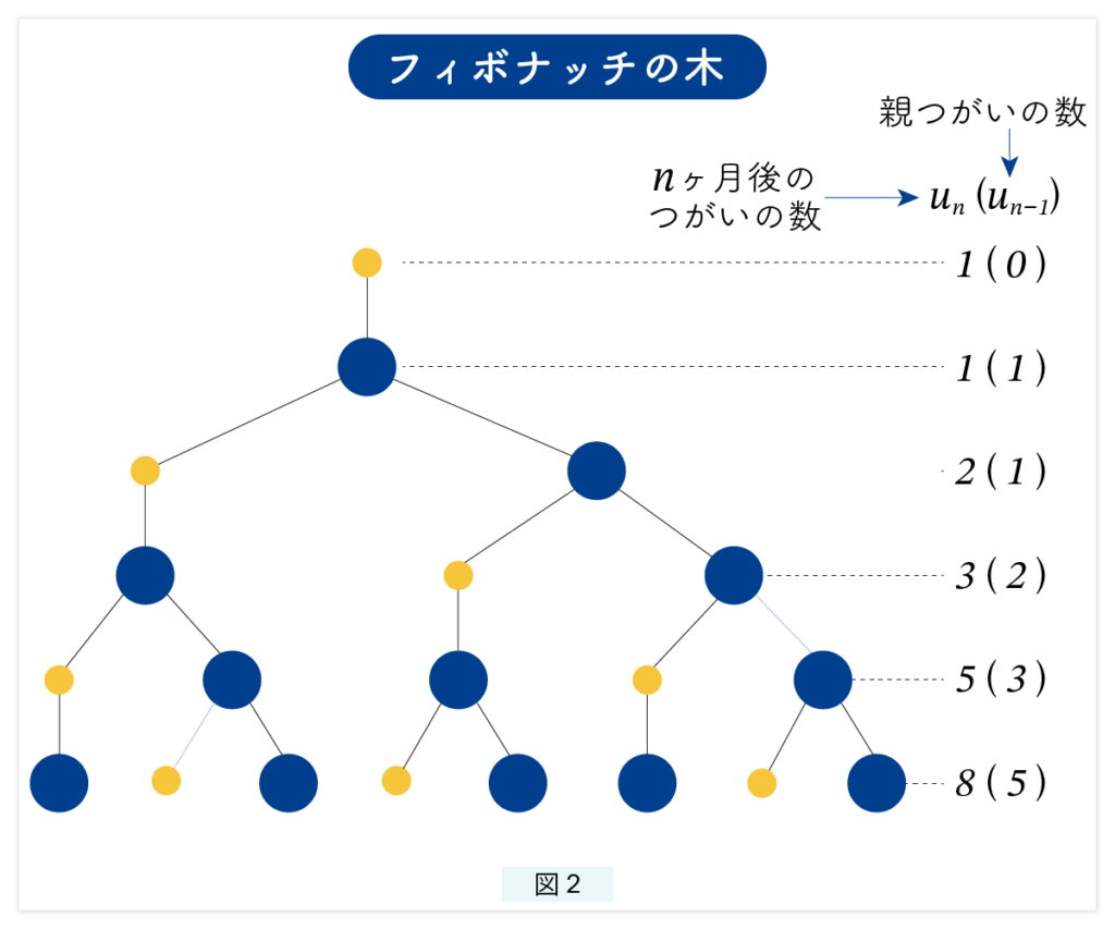 フィボナッチ数列 ： フィボナッチの木