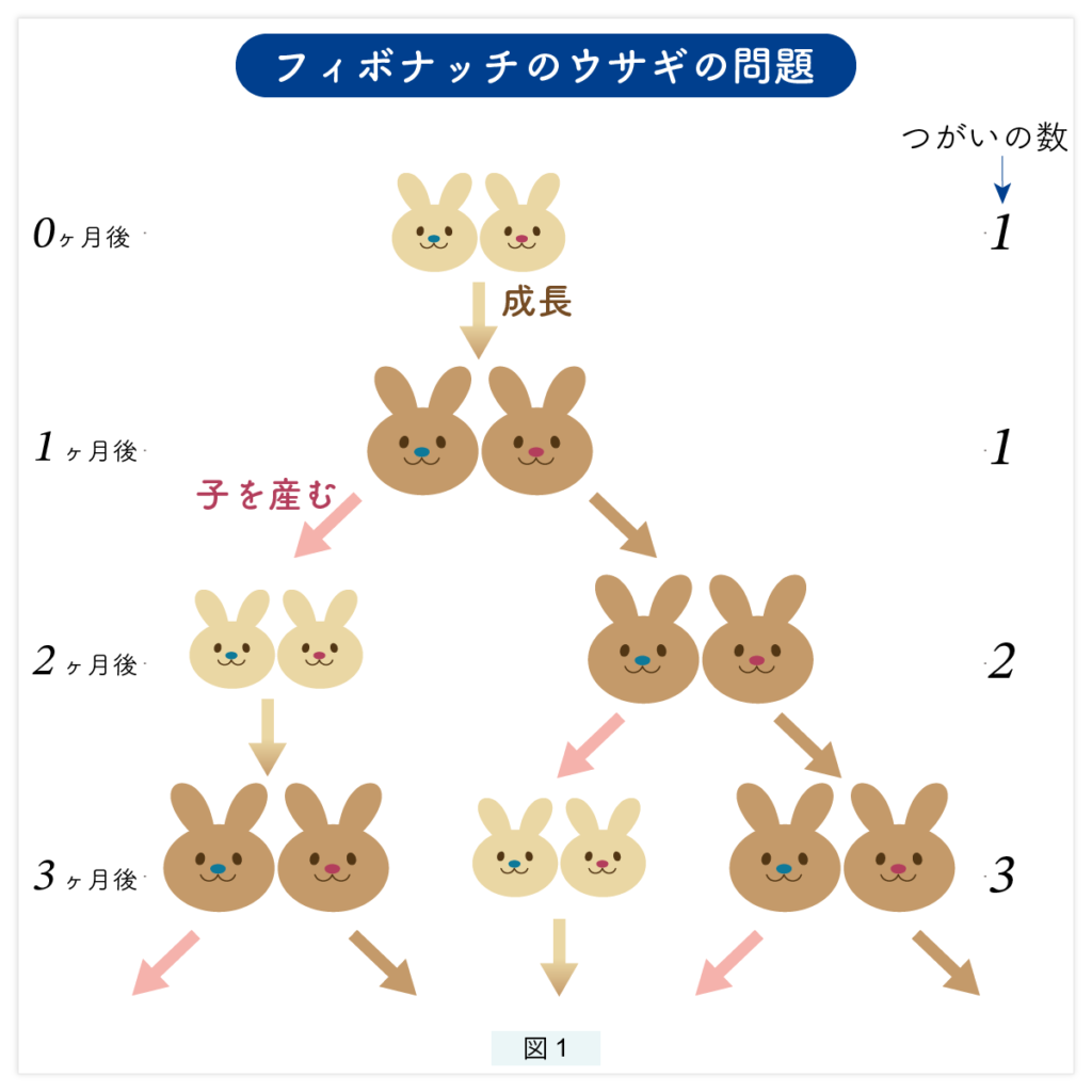 フィボナッチ数列 ： ウサギの問題